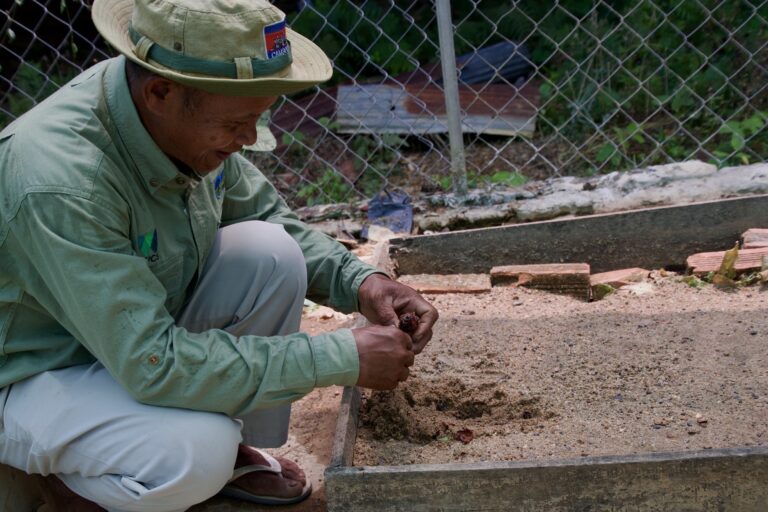 A REDD+-supported nursery at Keo Seima Wildlife Sanctuary in Cambodia. Image by John Cannon/Mongabay.