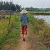 Duyen walks between shrimp farms.