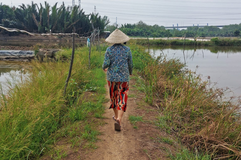 Duyen walks between shrimp farms.