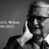 Courtesy of the E.O. Wilson Biodiversity Foundation