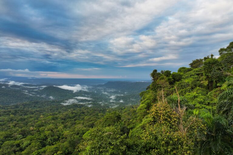Bigai Reserve in the Western Amazon. Photo credit: Rhett A. Butler / Mongabay