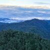 Reserva Narupa in Ecuador. Photo credit: Rhett A. Butler