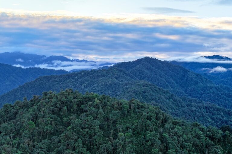 Reserva Narupa in Ecuador. Photo credit: Rhett A. Butler