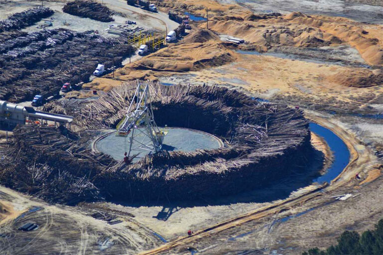 Aerial view showing a massive ring of thousands of whole trees at Enviva’s Sampson County, North Carolina