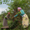 Tense and Mulunesh, members of the women-led Nano Hena savings and credit cooperative, pick coffee beans during harvesting season in Illubabor Zone, Ethiopia. The cooperative is supported by Population, Health, and Environment Ethiopia Consortium and Ethio Wetlands and Natural Resources Association, partners working to improve biodiversity and increase resilience in communities in Southwestern Ethiopia. Photo credit: Maheder Haileselassie, Getty Images