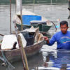 A local fisherman pushing his canoe in the polluted waters.