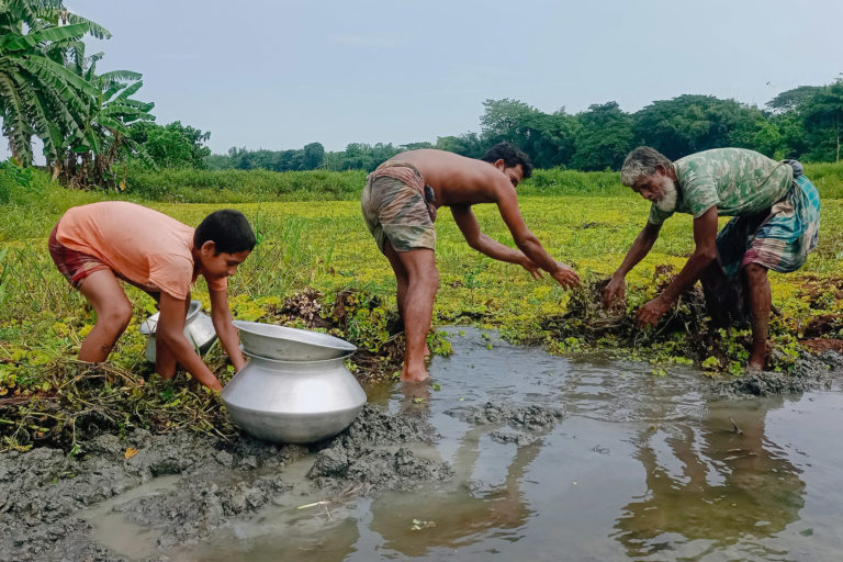 A family clears overgrown aquatic weeds in a wetland.