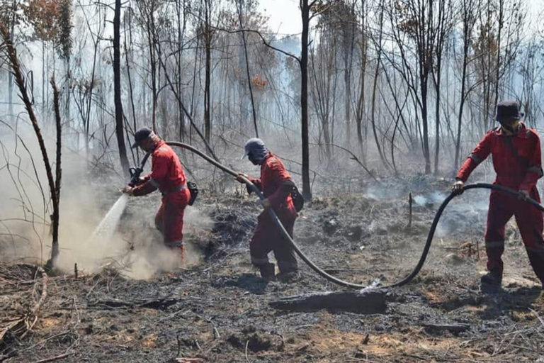 Fire fighters putting out forest fire in Riau, Indonesia.