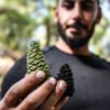 Shouf Biosphere Reserve restoration project, Lebanon