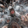 Frozen albacore tuna on a fishing boat in the Pacific Ocean.