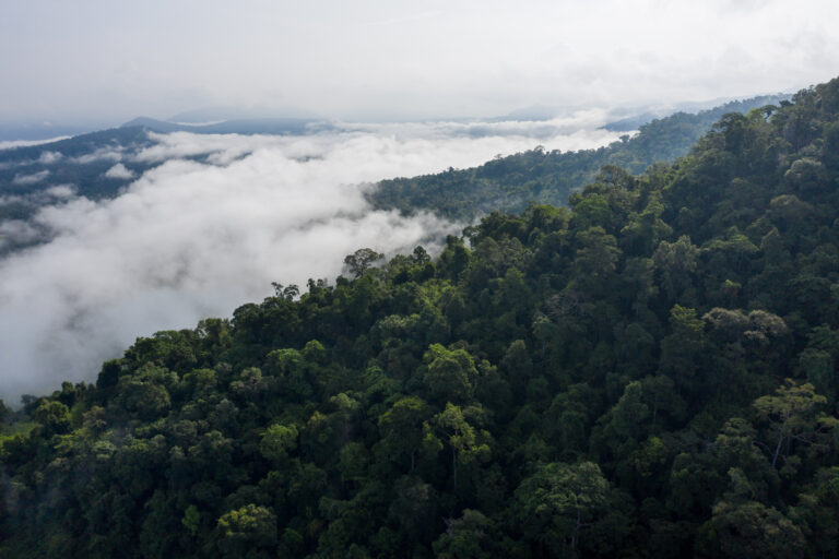 An aerial view over the Central Cardamoms National Park, one of several protected areas that constitute the Cardamom Mountains, an evergreen forest situated on the Thai-Cambodia border. In November 2023, the Cambodian government approved the construction of two new hydropower dams in the protected forest. Credit: Andy Ball/Mongabay.