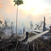 Smoke rising from smoldering peatland in PT Raja Garuda Mas Sejati. Photo courtesy of Greenpeace Media Library.