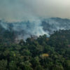 PORTO VELHO, RONDÔNIA, BRAZIL. Aerial view of burned areas in the Amazon rainforest, in the city of Porto Velho, Rondônia state. (Photo: Victor Moriyama / Greenpeace)