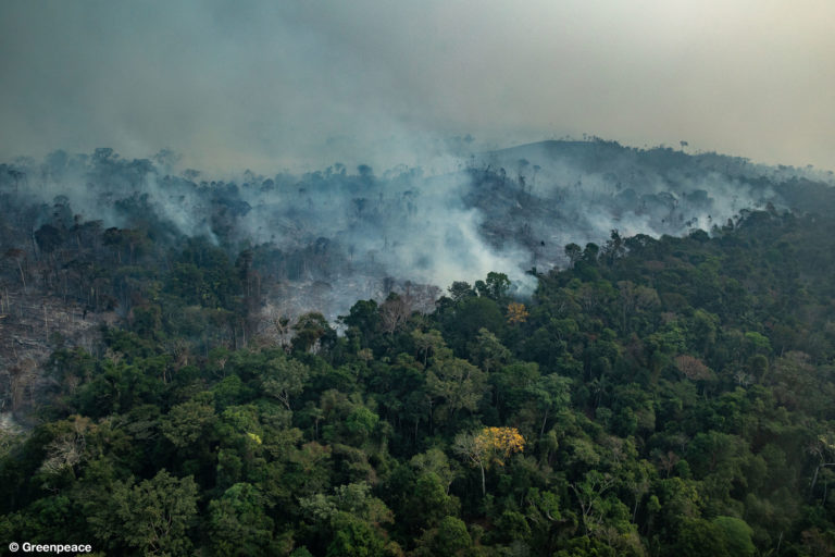 PORTO VELHO, RONDÔNIA, BRAZIL. Aerial view of burned areas in the Amazon rainforest, in the city of Porto Velho, Rondônia state. (Photo: Victor Moriyama / Greenpeace)