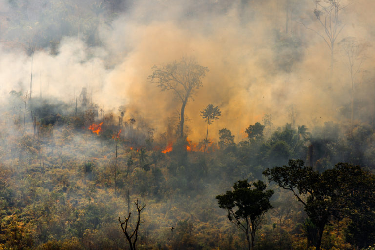 Heat spots in areas with Prodes (2017-2018) and Deter warnings, Novo Progresso, Pará state.