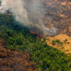 Live hotspots in areas with Prodes 2019 and Deter warnings, in Colniza, Mato Grosso state. Taken 17 Aug, 2020. CREDIT: © Christian Braga / Greenpeace