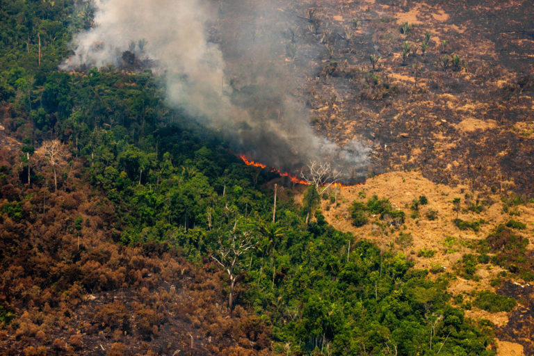 Live hotspots in areas with Prodes 2019 and Deter warnings, in Colniza, Mato Grosso state. Taken 17 Aug, 2020. CREDIT: © Christian Braga / Greenpeace