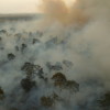 U.S.-based Cargill corporation burns large areas of Amazon rainforest in norther Pará state to prepare for soya plantations in 2003. Image by Daniel Beltrá/Greenpeace