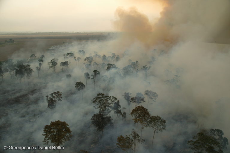 U.S.-based Cargill corporation burns large areas of Amazon rainforest in norther Pará state to prepare for soya plantations in 2003. Image by Daniel Beltrá/Greenpeace