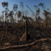 Aerial view of an area in the Amazon deforested for cattle pasture in Candeias do Jamari, Rondônia state. Overflights organized by the Amazon in Flames Alliance -- Amazon Watch, Greenpeace Brazil and the Brazilian Climate Observatory -- between September 13th and 17th documented land use change and fire around the cities of Porto Velho, Rondônia, and Lábrea, Amazonas. Photo © Victor Moriyama / Amazônia em Chamas (Amazon in Flames Alliance)