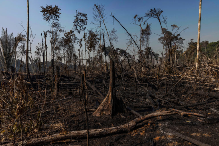 Aerial view of an area in the Amazon deforested for cattle pasture in Candeias do Jamari, Rondônia state. Overflights organized by the Amazon in Flames Alliance -- Amazon Watch, Greenpeace Brazil and the Brazilian Climate Observatory -- between September 13th and 17th documented land use change and fire around the cities of Porto Velho, Rondônia, and Lábrea, Amazonas. Photo © Victor Moriyama / Amazônia em Chamas (Amazon in Flames Alliance)