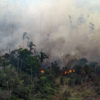 Aerial view of an area in the Amazon deforested for the expansion of livestock, in Porto Velho, Rondônia state. Overflights organized by the Amazon in Flames Alliance -- Amazon Watch, Greenpeace Brazil and the Brazilian Climate Observatory -- between September 13th and 17th documented land use change and fire around the cities of Porto Velho, Rondônia, and Lábrea, Amazonas. Photo © Victor Moriyama / Amazônia em Chamas (Amazon in Flames Alliance)