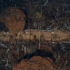 Aerial view of an area in the Amazon deforested for cattle ranching in Lábrea, Amazonas state on Sep 15, 2021. Photo © Victor Moriyama / Amazônia em Chamas (Amazon in Flames Alliance)