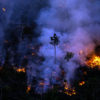 Fire near the Manicoré River in Amazonas state in August 2022. Photo © Christian Braga / Greenpeace