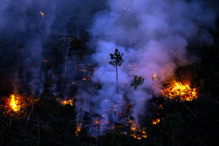 Fire near the Manicoré River in Amazonas state in August 2022. Photo © Christian Braga / Greenpeace