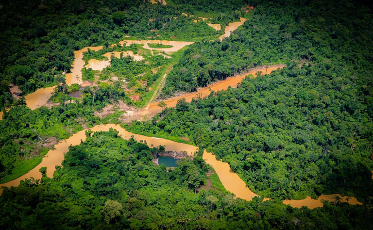 An overflight conducted by Greenpeace and Instituto Socioambiental in December 2022 spotted four excavators near an illegal road recently discovered inside the Yanomami Indigenous territory, one of the most endangered areas of Indigenous lands in the Brazilian Amazon.