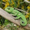 A chameleon on a branch.