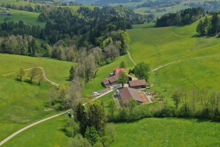 The Rietholzbach catchment is a hilly pre-alpine basin in north eastern Switzerland