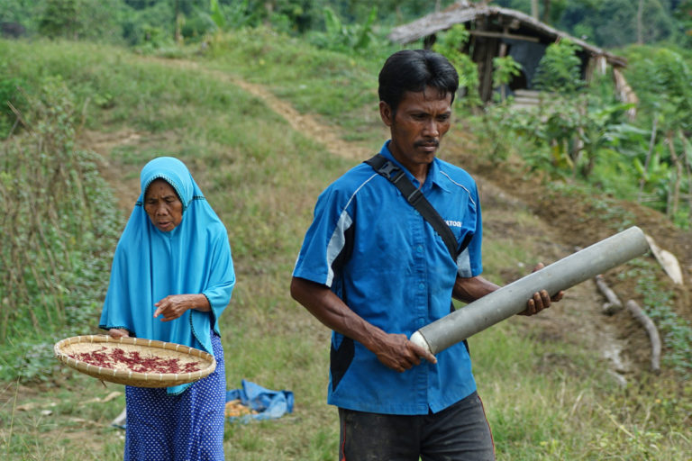 Yasmin trails her son Junaidi on their farm.