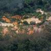 Illegal mining areas inside Yanomami land near the Mucajaí River.