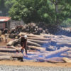 Illegally logged rosewood from Masoala and Marojejy in Antalaha, Madagascar, circa 2005.