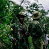 Kenya forest service