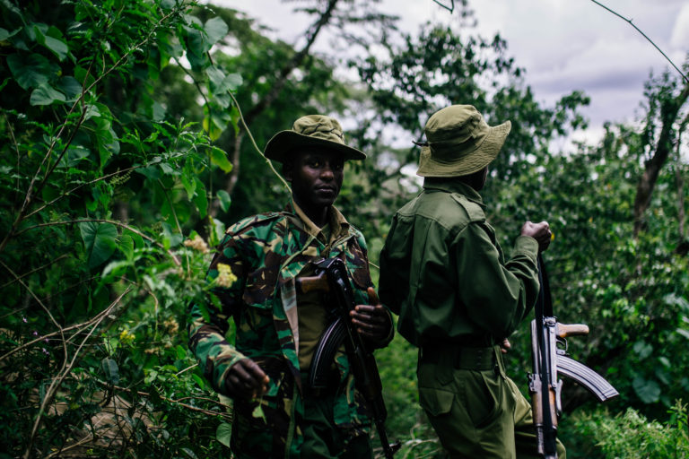 Kenya forest service