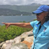 Mona Webber pointing at a mangrove restoration site on Norman Manly Highway.