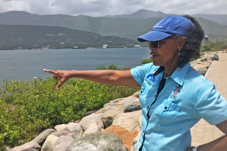 Mona Webber pointing at a mangrove restoration site on Norman Manly Highway.