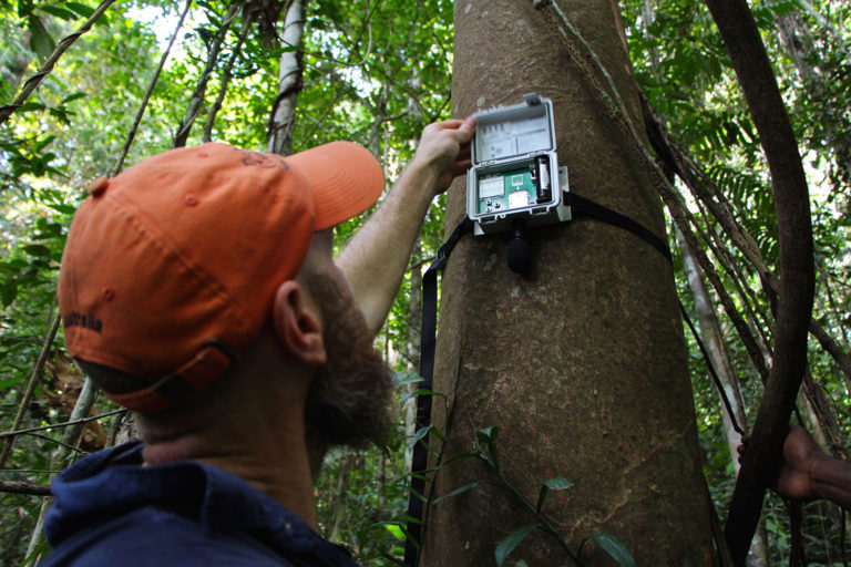 TNC scientist Eddie Game checks an acoustic recorder in Papua New Guinea. Photo © Justine E. Hausheer / The Nature Conservancy
