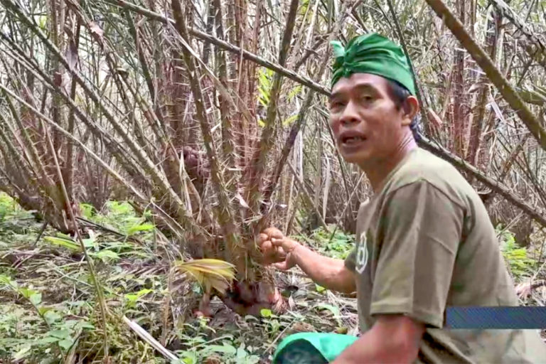 A farmer shows a salak variant