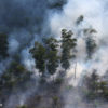 Fire in Indonesia forest