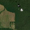 Satellites provide a new data point for evaluating the impact of conservation programs. Image credit: Microsoft Zoom Earth