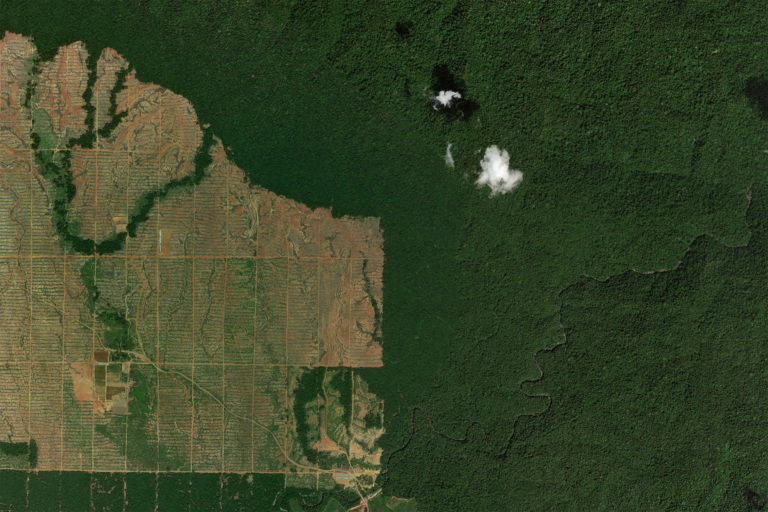 Satellites provide a new data point for evaluating the impact of conservation programs. Image credit: Microsoft Zoom Earth