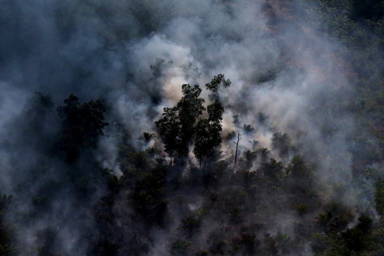 Haze rising from an oil palm plantation and forest in Riau. Photo credit: Rhett A. Butler.