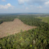Deforestation for palm oil production in Sumatra, Indonesia. Photo by Rhett A. Butler.