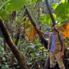 Roberto Castro from Intag Valley under a grove of elephant ear plants