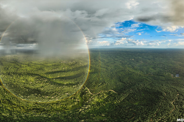 Rainbow over rainforest and plantations in Jambi on the Indonesian island of Sumatra. Photo credit Rhett A. Butler