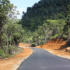 Road in Indonesian Borneo. Photo credit: Rhett A. Butler