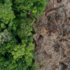Deforestation in Borneo. Photo credit: Rhett A. Butler / mongabay